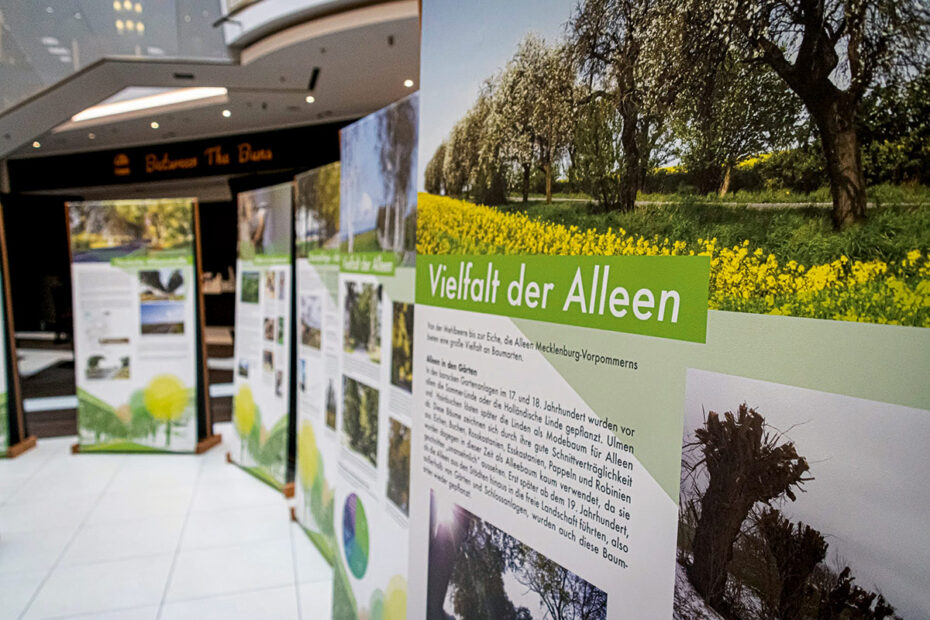 Ausstellung