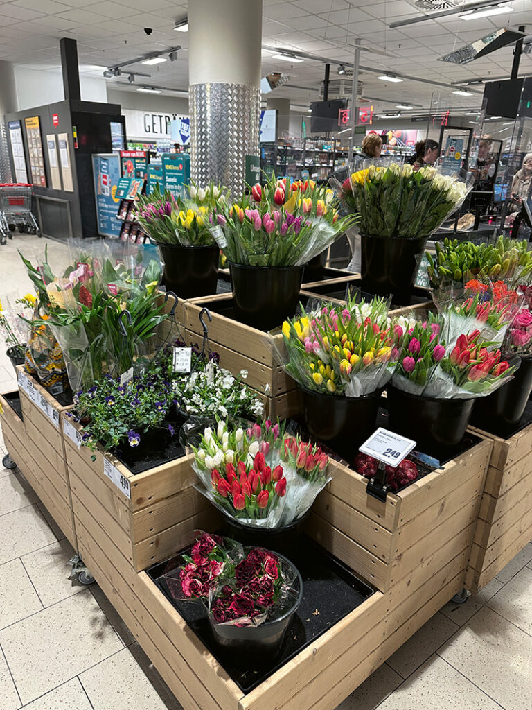 Tulpen