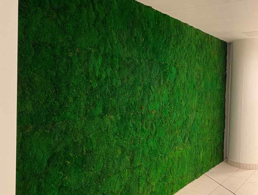 Grüne Mosswand