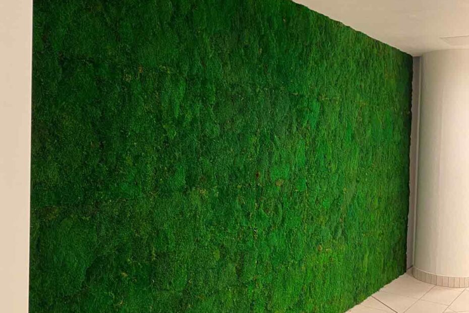 Grüne Mosswand